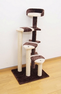 �L�̂������у|�[�� ����